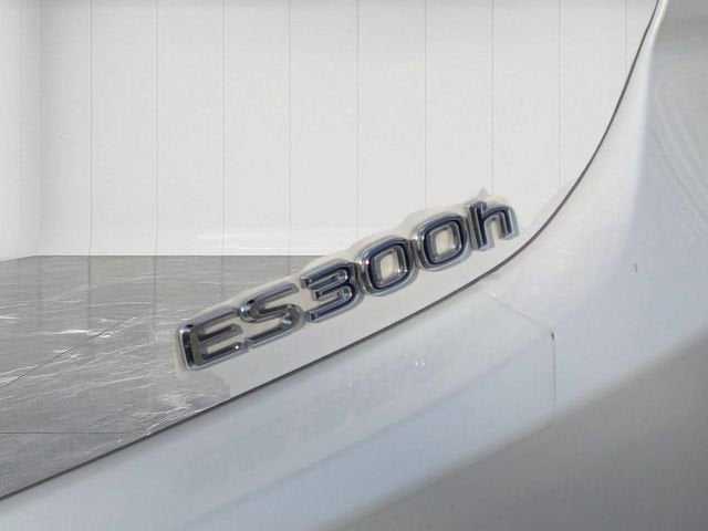 2020 Lexus ES 300h ES 300h