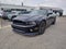 2013 Ford Mustang Shelby GT500